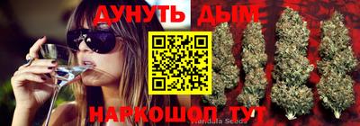 Альфа ПВП Обнинск