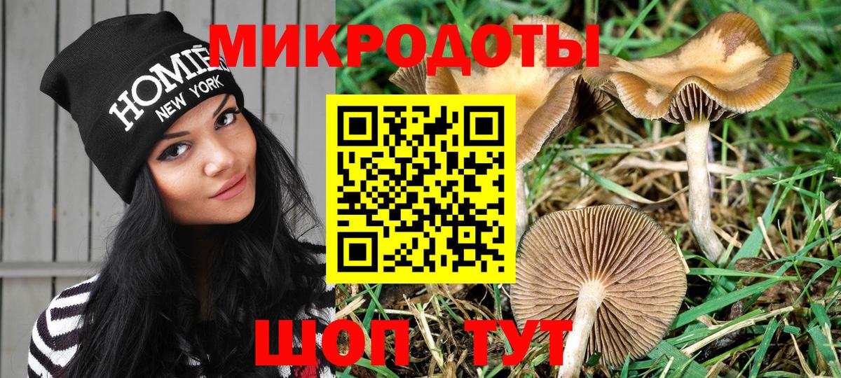 Псилоцибиновые грибы мухоморы Семилуки